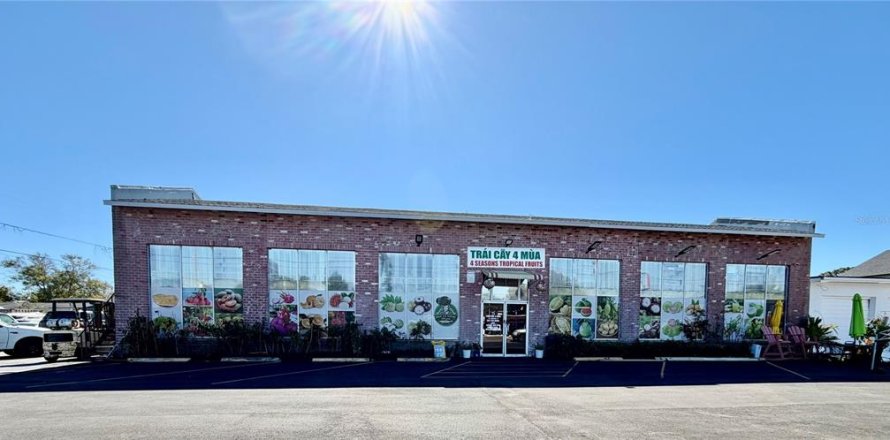Commercial property in Saint Petersburg, Florida 250.84 sq.m. № 2201176