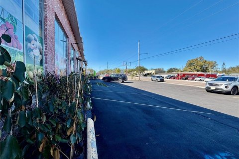 Commercial property in Saint Petersburg, Florida 250.84 sq.m. № 2201176 - photo 5