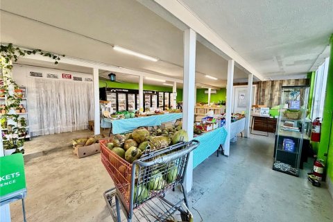 Commercial property in Saint Petersburg, Florida 250.84 sq.m. № 2201176 - photo 12