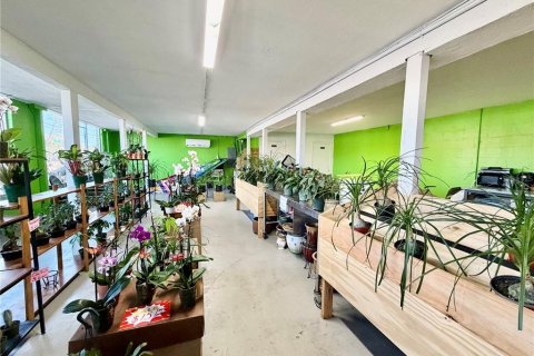 Commercial property in Saint Petersburg, Florida 250.84 sq.m. № 2201176 - photo 11
