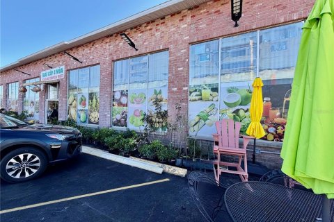 Commercial property in Saint Petersburg, Florida 250.84 sq.m. № 2201176 - photo 6