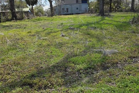 House in Williston, Florida 3 bedrooms, 172.43 sq.m. № 2142959 - photo 13