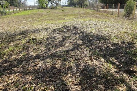 House in Williston, Florida 3 bedrooms, 172.43 sq.m. № 2142959 - photo 21