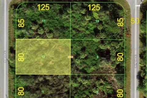 Land in Port Charlotte, Florida № 1677352 - photo 3