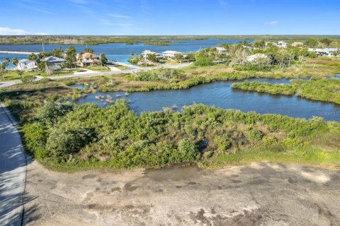 Land in Crystal River, Florida № 1583130 - photo 12