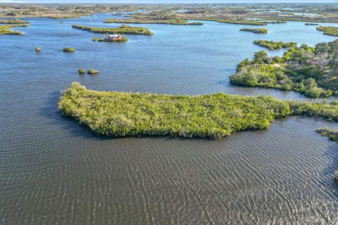 Land in Crystal River, Florida № 1583130 - photo 2