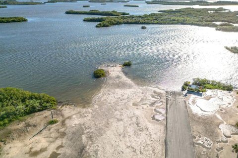 Land in Crystal River, Florida № 1583130 - photo 10
