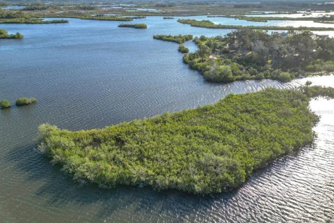 Land in Crystal River, Florida № 1583130 - photo 1