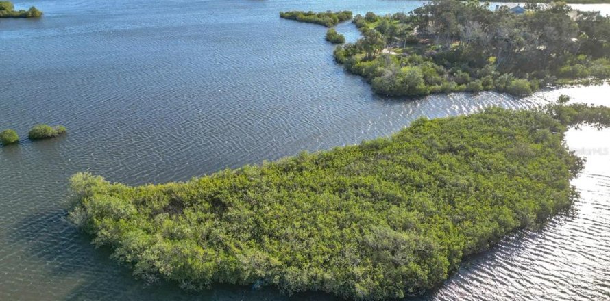 Land in Crystal River, Florida № 1583130