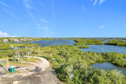 Land in Crystal River, Florida № 1583130 - photo 11