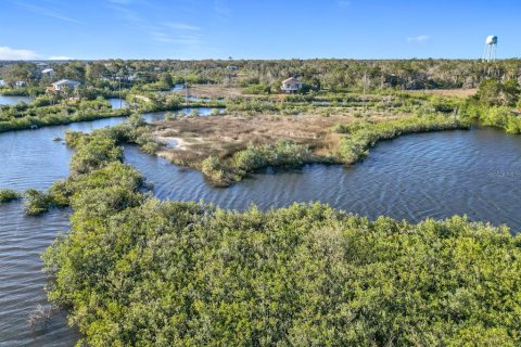 Land in Crystal River, Florida № 1583130 - photo 5