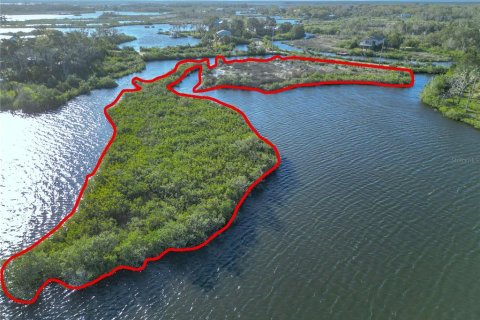 Land in Crystal River, Florida № 1583130 - photo 6