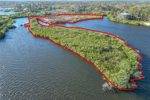 Land in Crystal River, Florida № 1583130 - photo 7