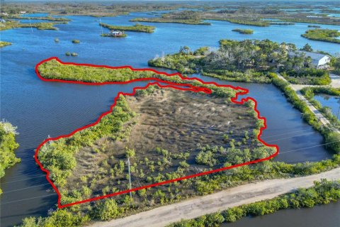 Land in Crystal River, Florida № 1583130 - photo 9