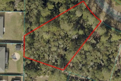 Terrain à vendre à Ocala, Floride № 1829039 - photo 1