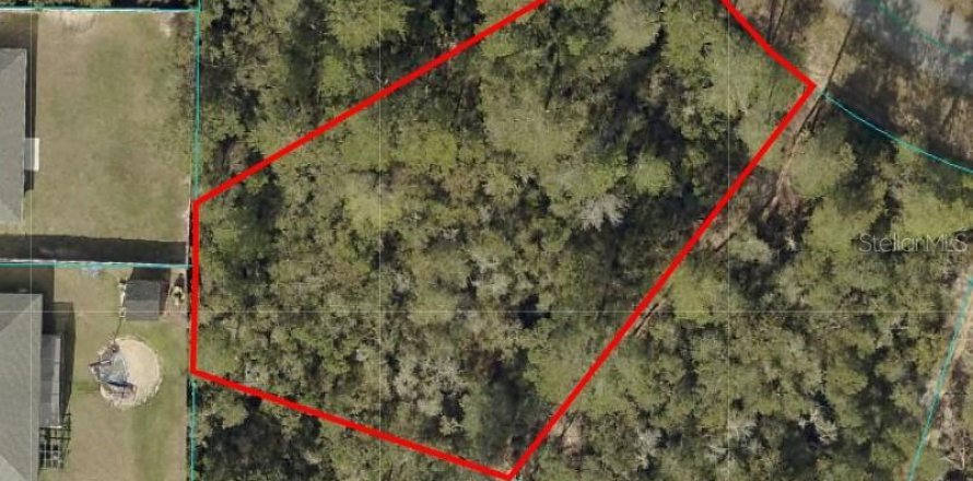 Terreno en Ocala, Florida № 1829039
