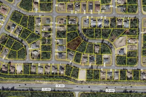 Terrain à vendre à Ocala, Floride № 1829039 - photo 4