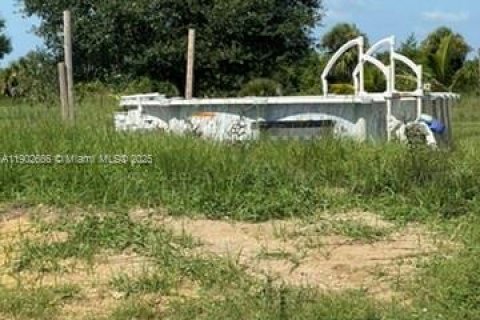 Снять в аренду квартиру в Клуистон, Флорида 4 спальни, № 1953042 - фото 24