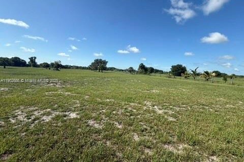 Снять в аренду квартиру в Клуистон, Флорида 4 спальни, № 1953042 - фото 23