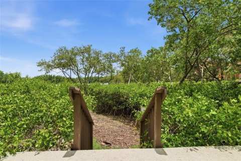 Condo in Clearwater, Florida, 1 bedroom  № 2211918 - photo 27