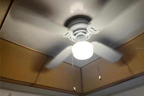 Condo in Tarpon Springs, Florida, 1 bedroom  № 1901085 - photo 4