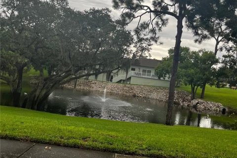 Condo in Tarpon Springs, Florida, 1 bedroom  № 1901085 - photo 10
