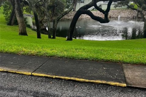 Condo in Tarpon Springs, Florida, 1 bedroom  № 1901085 - photo 9