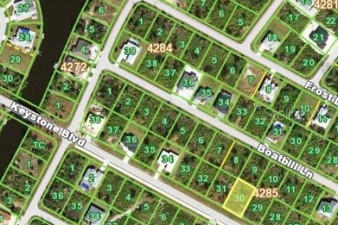 Land in Port Charlotte, Florida № 2162589