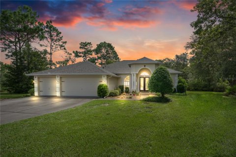 Villa ou maison à vendre à Homosassa, Floride: 3 chambres, 177.81 m2 № 2315120 - photo 2