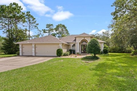 Villa ou maison à Homosassa, Floride 3 chambres, 177.81 m2 № 2315120