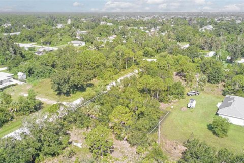 Land in Punta Gorda, Florida № 2163228 - photo 4
