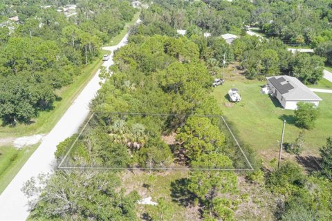 Land in Punta Gorda, Florida № 2163228 - photo 3