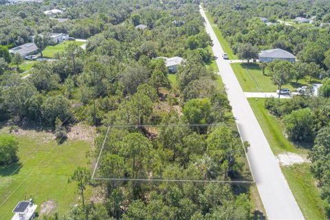 Land in Punta Gorda, Florida № 2163228 - photo 7