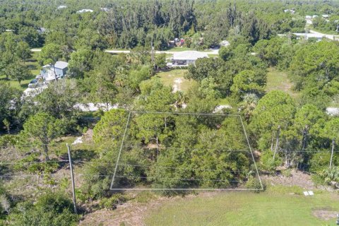Land in Punta Gorda, Florida № 2163228 - photo 5