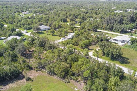 Land in Punta Gorda, Florida № 2163228 - photo 6