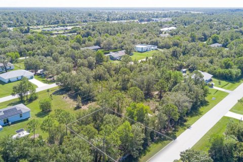 Land in Punta Gorda, Florida № 2163228 - photo 8