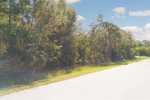 Land in Punta Gorda, Florida № 2163228 - photo 9