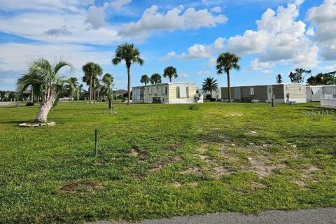 Land in Port Charlotte, Florida № 2383945 - photo 2