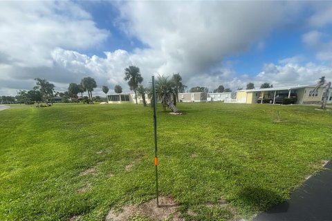 Land in Port Charlotte, Florida № 2383945 - photo 3