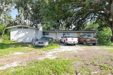 House in Thonotosassa, Florida 4 bedrooms, 251.02 sq.m. № 2230130