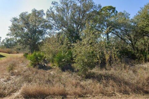 Propiedad comercial en Lehigh Acres, Florida № 2158290
