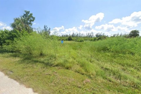 Land in Punta Gorda, Florida № 1898810 - photo 2