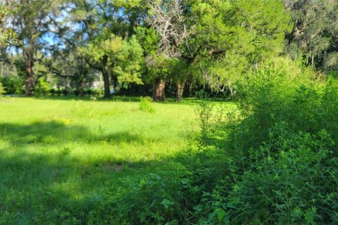 Terreno en venta en Ocala, Florida № 2129290 - foto 7