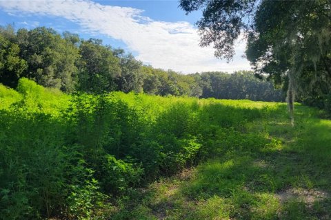 Terreno en venta en Ocala, Florida № 2129290 - foto 4