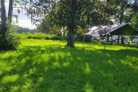 Terreno en venta en Ocala, Florida № 2129290 - foto 2