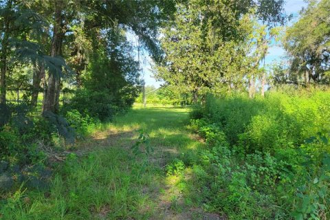 Terreno en venta en Ocala, Florida № 2129290 - foto 5