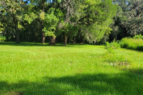 Terreno en venta en Ocala, Florida № 2129290 - foto 3