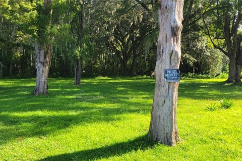Terreno en venta en Ocala, Florida № 2129290 - foto 6