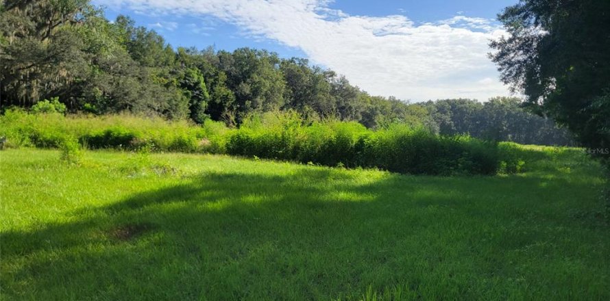 Terreno en Ocala, Florida № 2129290