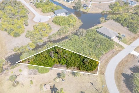 Land in Rotonda, Florida № 2160917 - photo 2